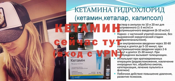 ГАЛЛЮЦИНОГЕННЫЕ ГРИБЫ Вязники