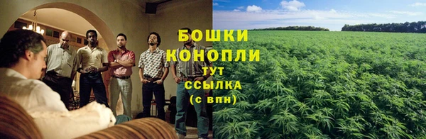 ГАЛЛЮЦИНОГЕННЫЕ ГРИБЫ Вязники