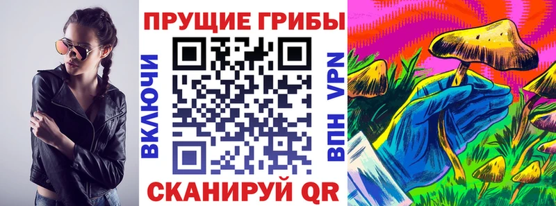 Купить закладки  Мензелинск  Псилоцибиновые грибы Cubensis 