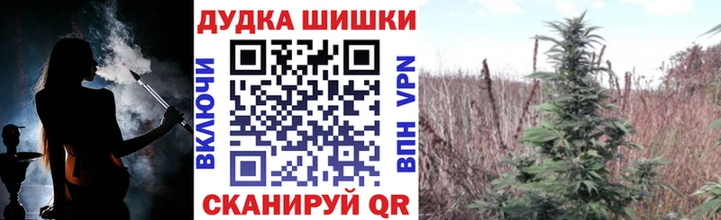 Каннабис OG Kush  Купить где  Мензелинск 